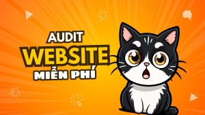 dich vu audit website mien phi